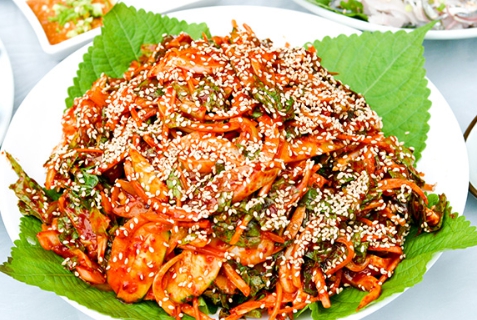 삼천포전어축제 2025 사천시 품바공연일정