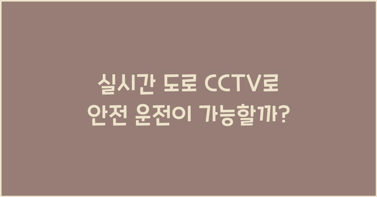 실시간 도로 cctv
