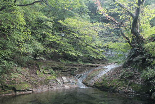 갑사12