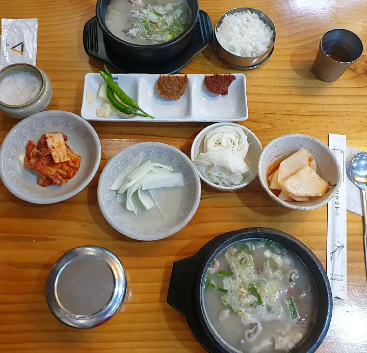6시내고향 경북 영천 곰탕 1959 개업 3대째 식당 맛집 추천