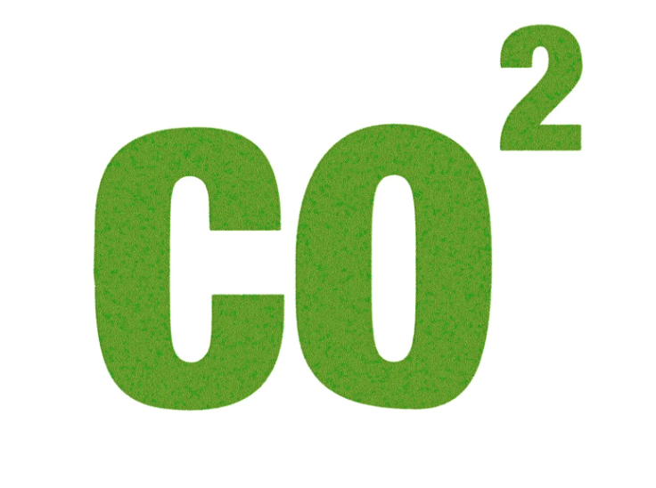 탄소배출권 시장 전망