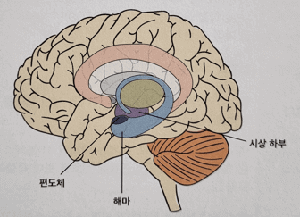 기억력 좋아지는 법