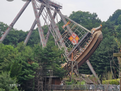 2024 에버랜드 은행나무숲산책 신청