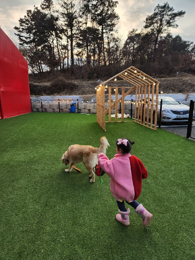 평택 애니멀클럽