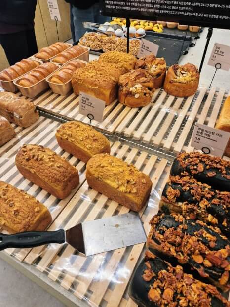 겨울방학 부산여행 추천