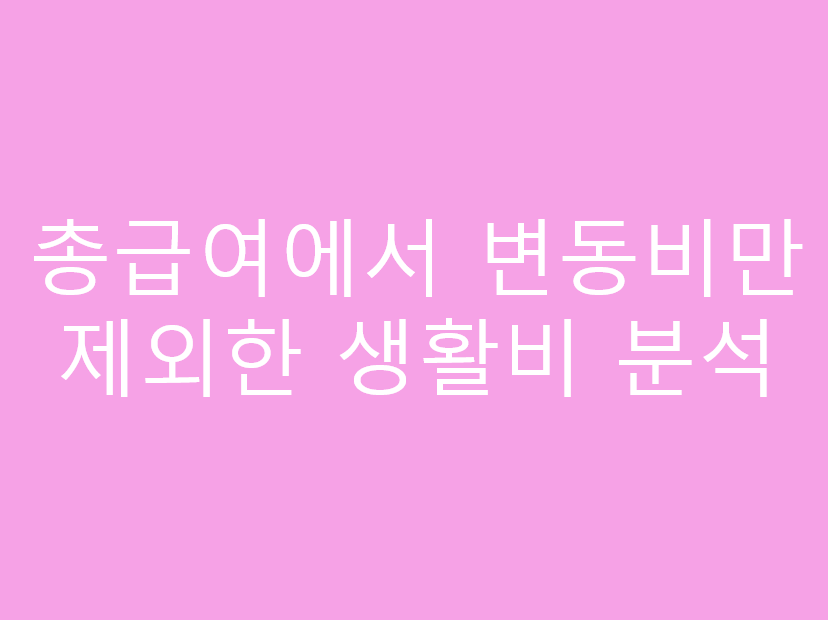 총급여에서 변동비만 제외한 생활비 분석