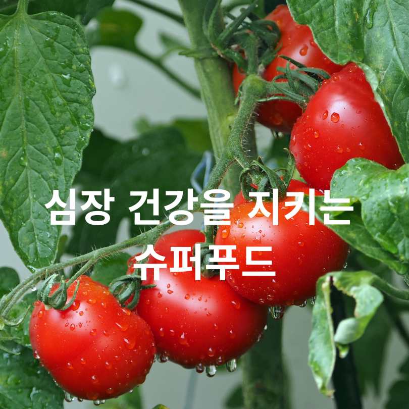 심근경색 전조증상 자가테스트와 심근경색에 좋은 음식