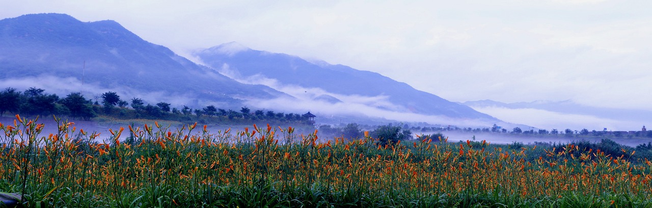 지리산 사진