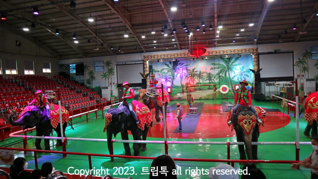 무대에 등장한 코끼리와 그 위에 앉는 조련사