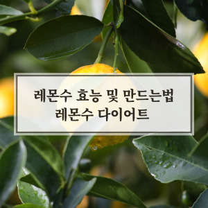 레몬수 다이어트