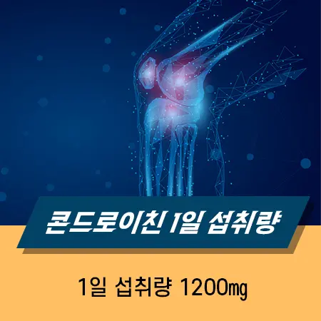 콘드로이친 1200