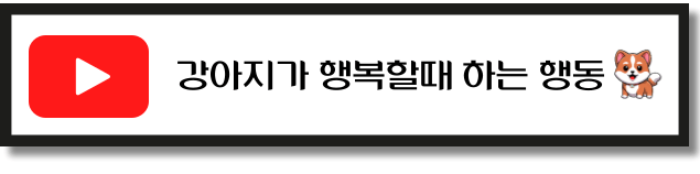 강아지가 행복할때 보이는 행동