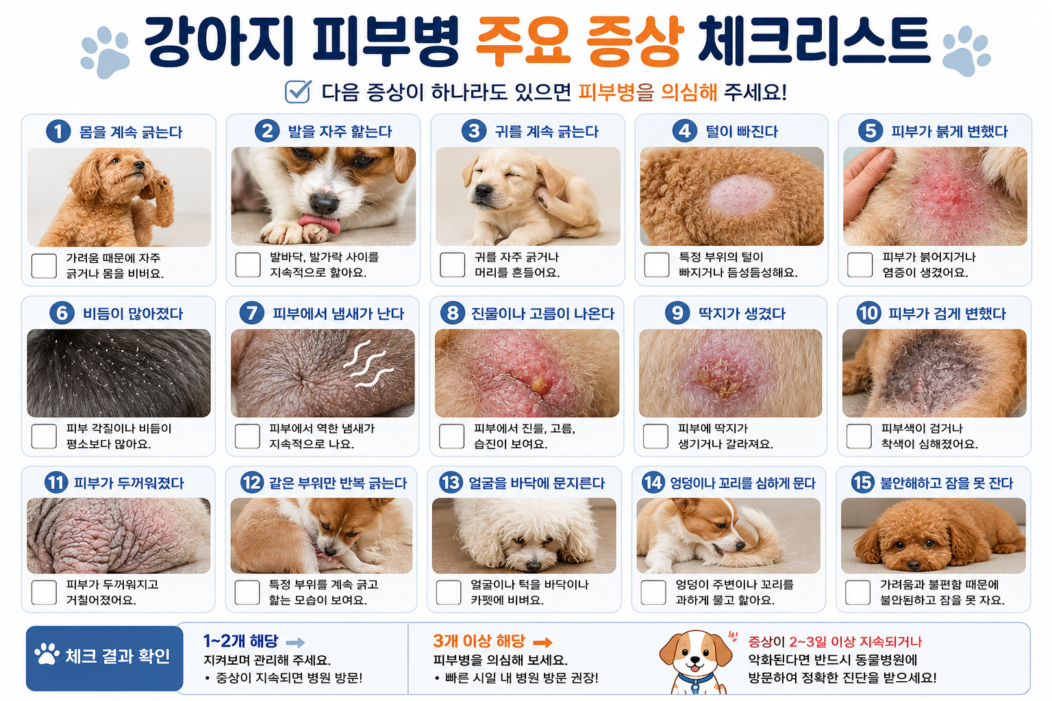 강아지 피부병 주요 증상 체크리스트 이미지