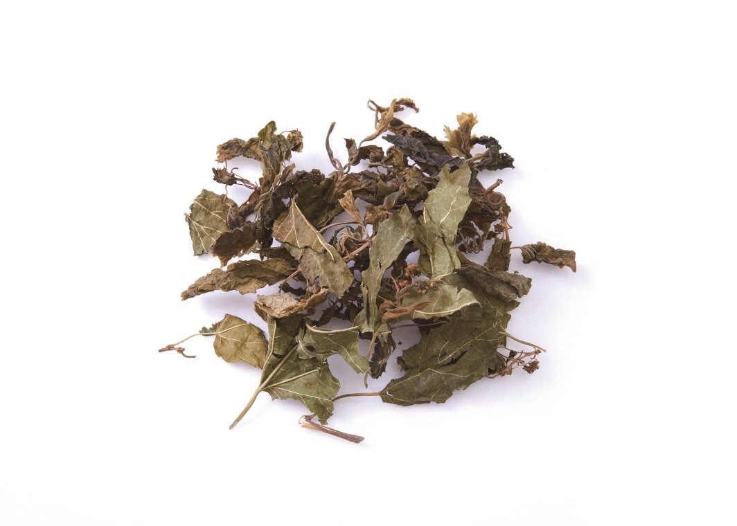 5월 제철 뽕잎나물의 효능과 요리법 총정리