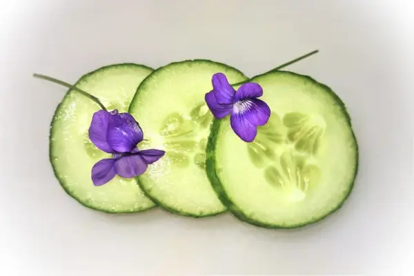 오이지 담그는 방법