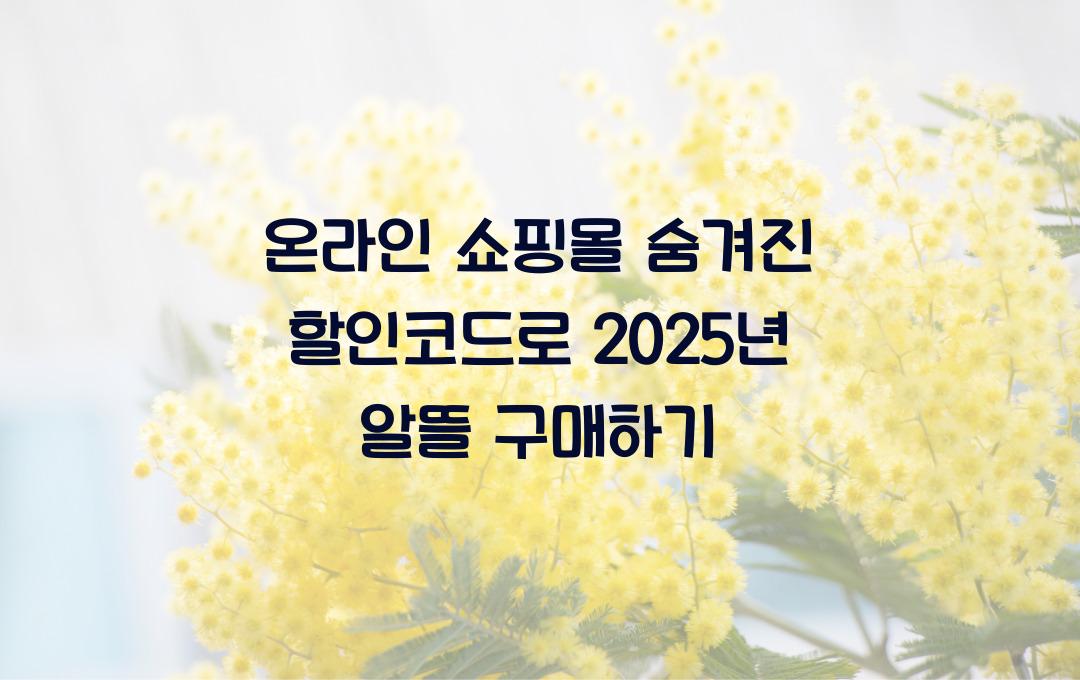 온라인 쇼핑몰 숨겨진 할인코드 활용으로 알뜰하게 구매하기