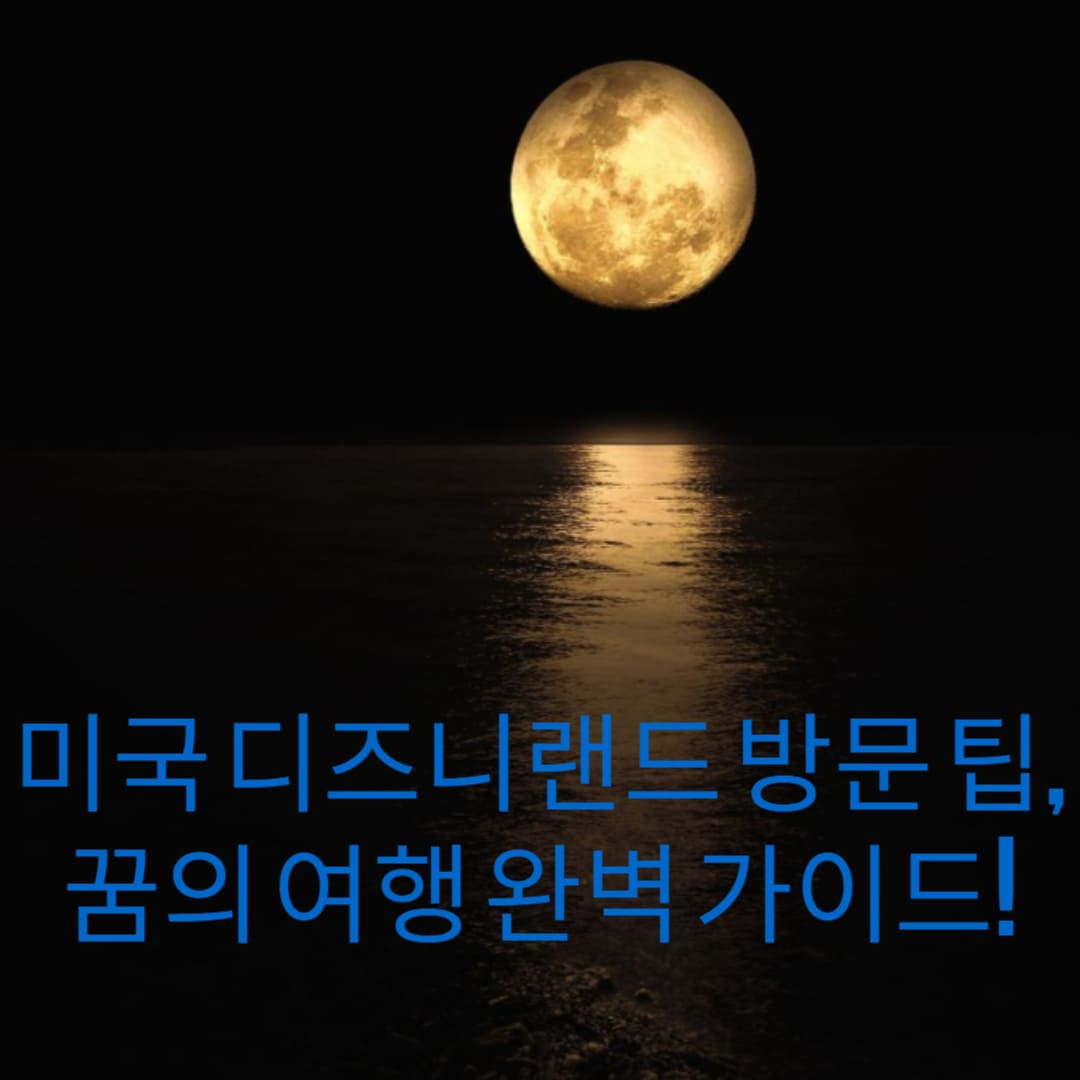 미국-디즈니랜드-방문-팁-꿈의-여행-완벽-가이드-썸네일