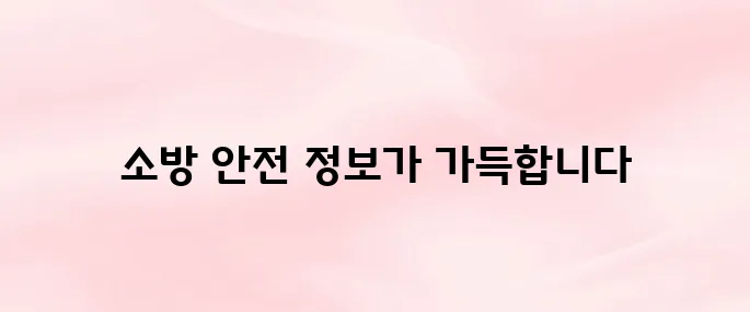 한국소방안전원 홈페이지 (www.kfsi.or.kr/)
