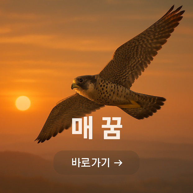 매꿈