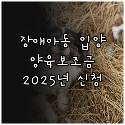 장애아동 입양 가정에 희소식! 202..