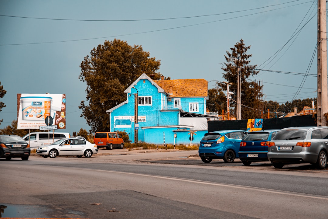 Blue House
