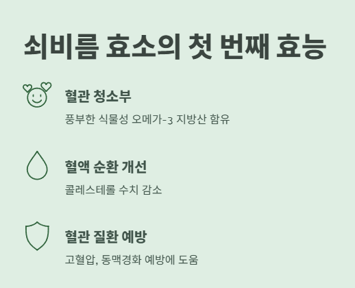 쇠비름 효소 효능 : 풍부한 오메가 3