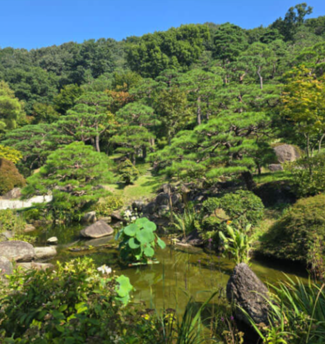 화담숲 예약 인원