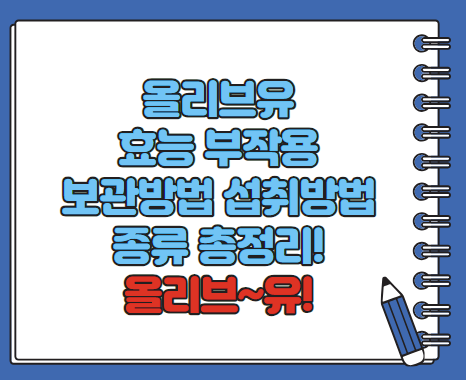 올리브유 효능 섭취방법 보관방법 엑스트라버진 등 총정리