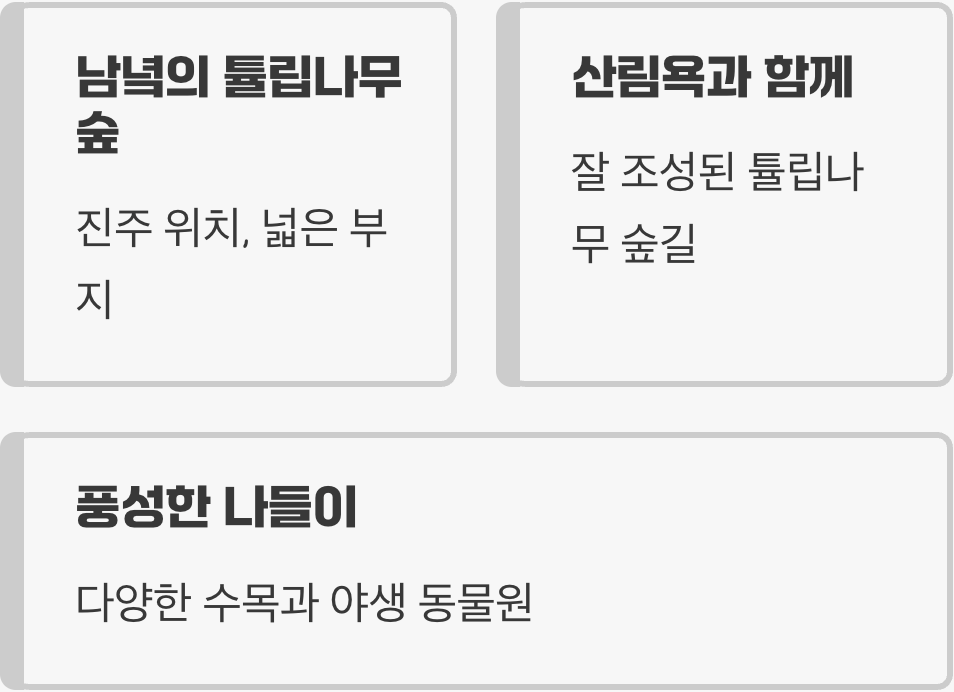 경상남도 수목원: 남녘의 튤립나무 숲