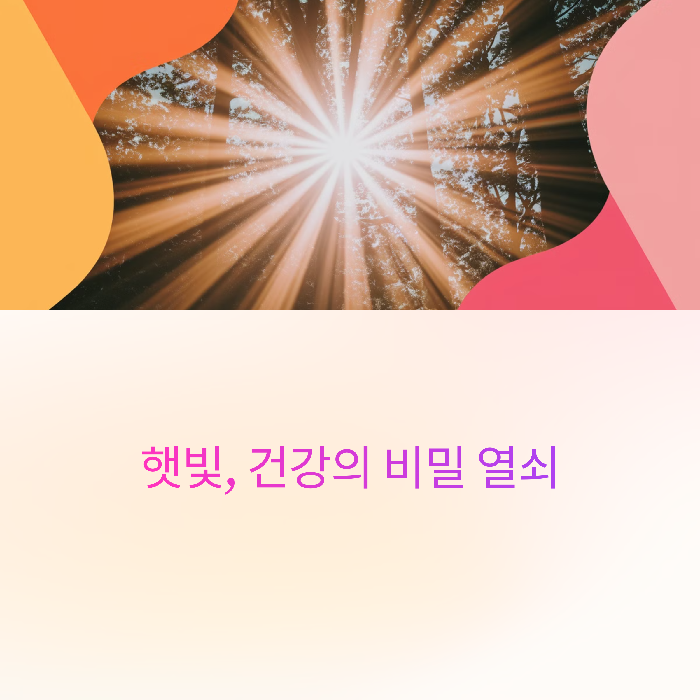 햇빛 건강의 비밀 열쇠