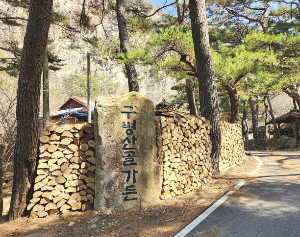 보은 구병산골가든
