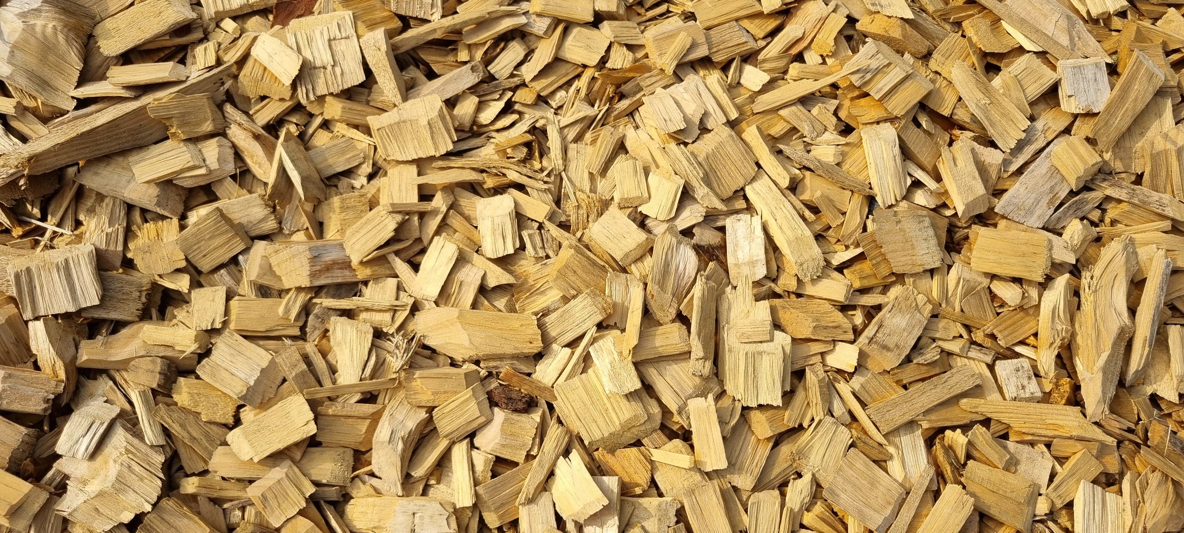 율동공원캠핑장 숲놀이터 목재 바닥