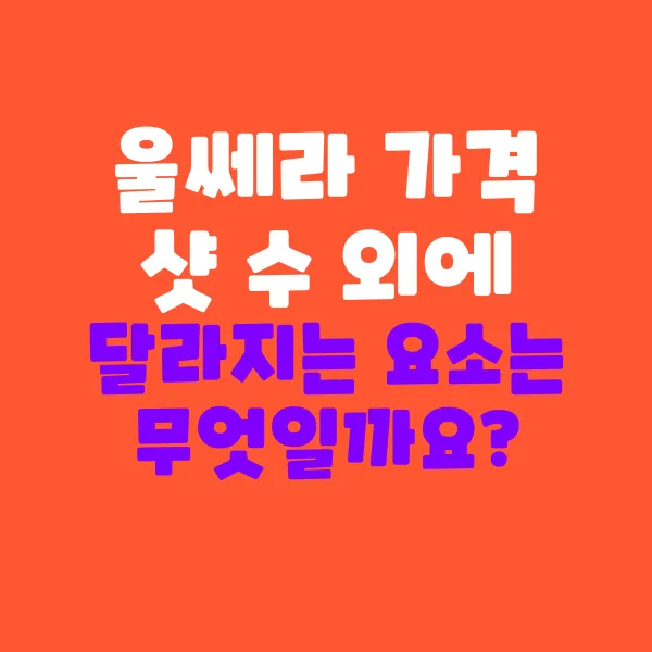 울쎄라 가격, 샷 수 외에 중요한 부분은 무엇일까요