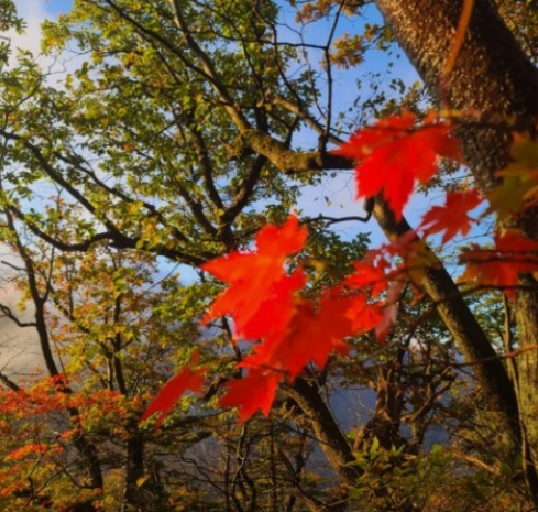 가을-여행하기-좋은-곳-추천