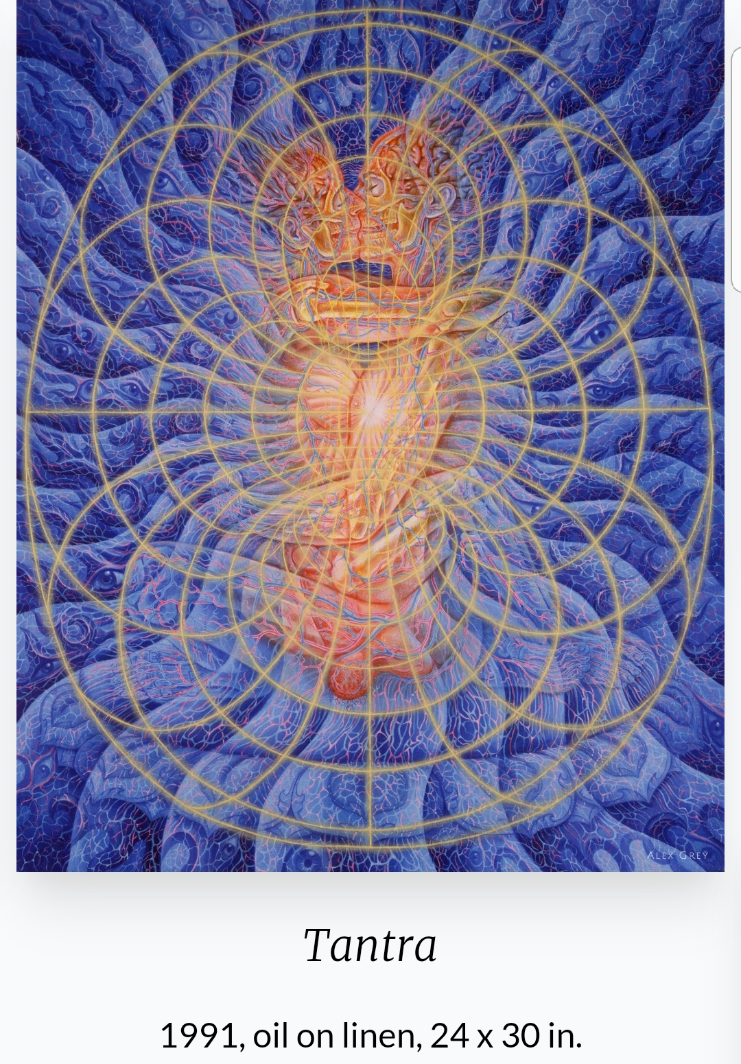 알렉스 그레이(Alex Grey, 1953~ )의 작품