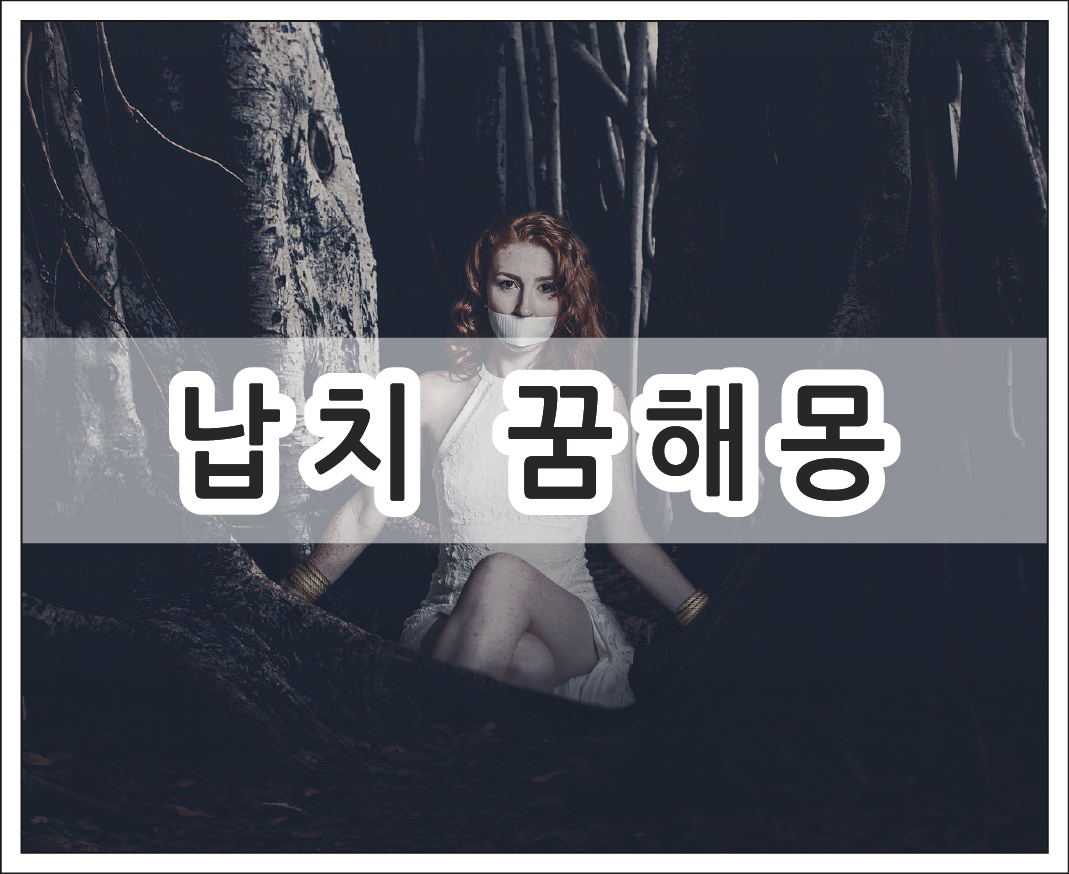 납치 꿈해몽