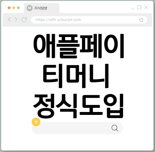 애플페이 티머니 정식도입
