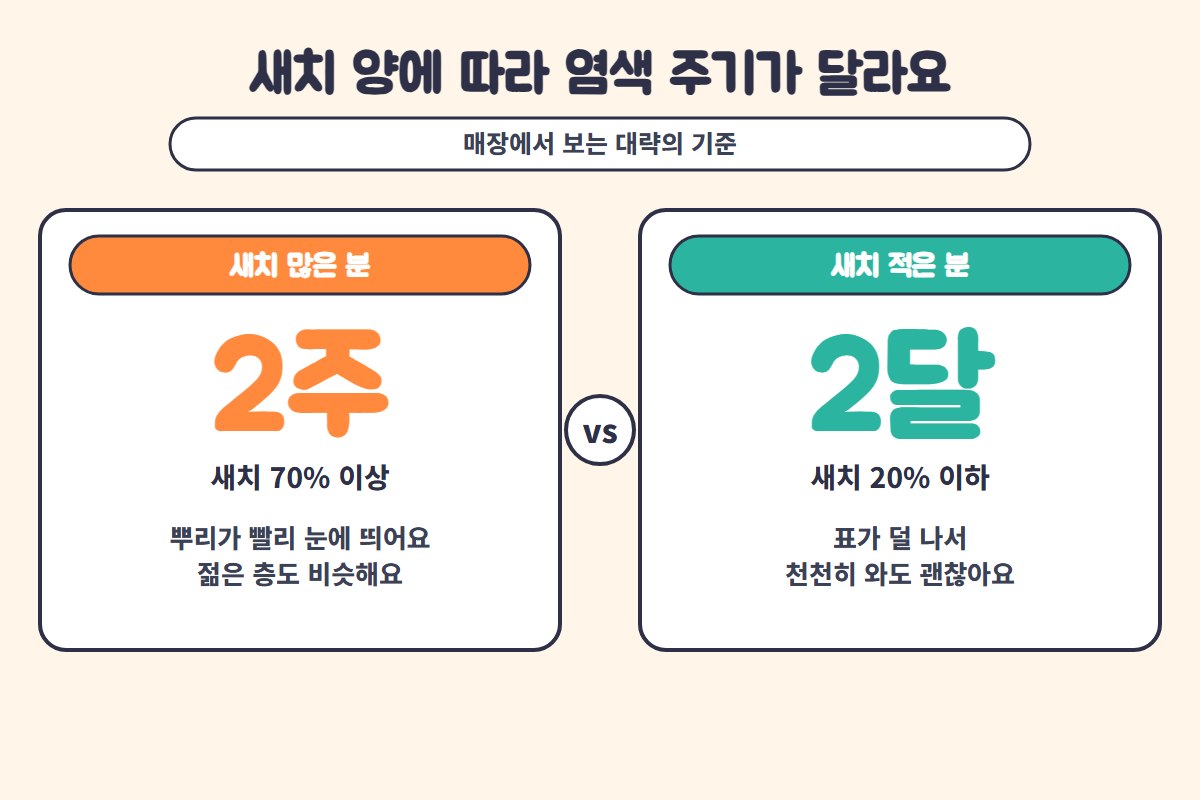 새치염색 주기 새치 염색 주기 비교 일러스트
