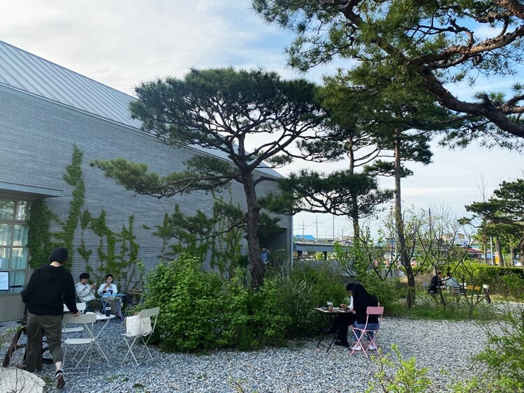 시몬스테라스-이코복스-야외1