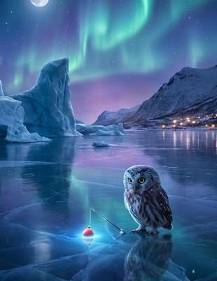 산천 화천어축제의 모든 것 &amp;#124; 행사 기간&amp;#44; 주차장&amp;#44; 숙소&amp;#44; 주변 볼거리까지!