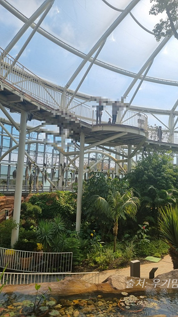 24년 순천만 국가정원 식물원 동문 순천여행