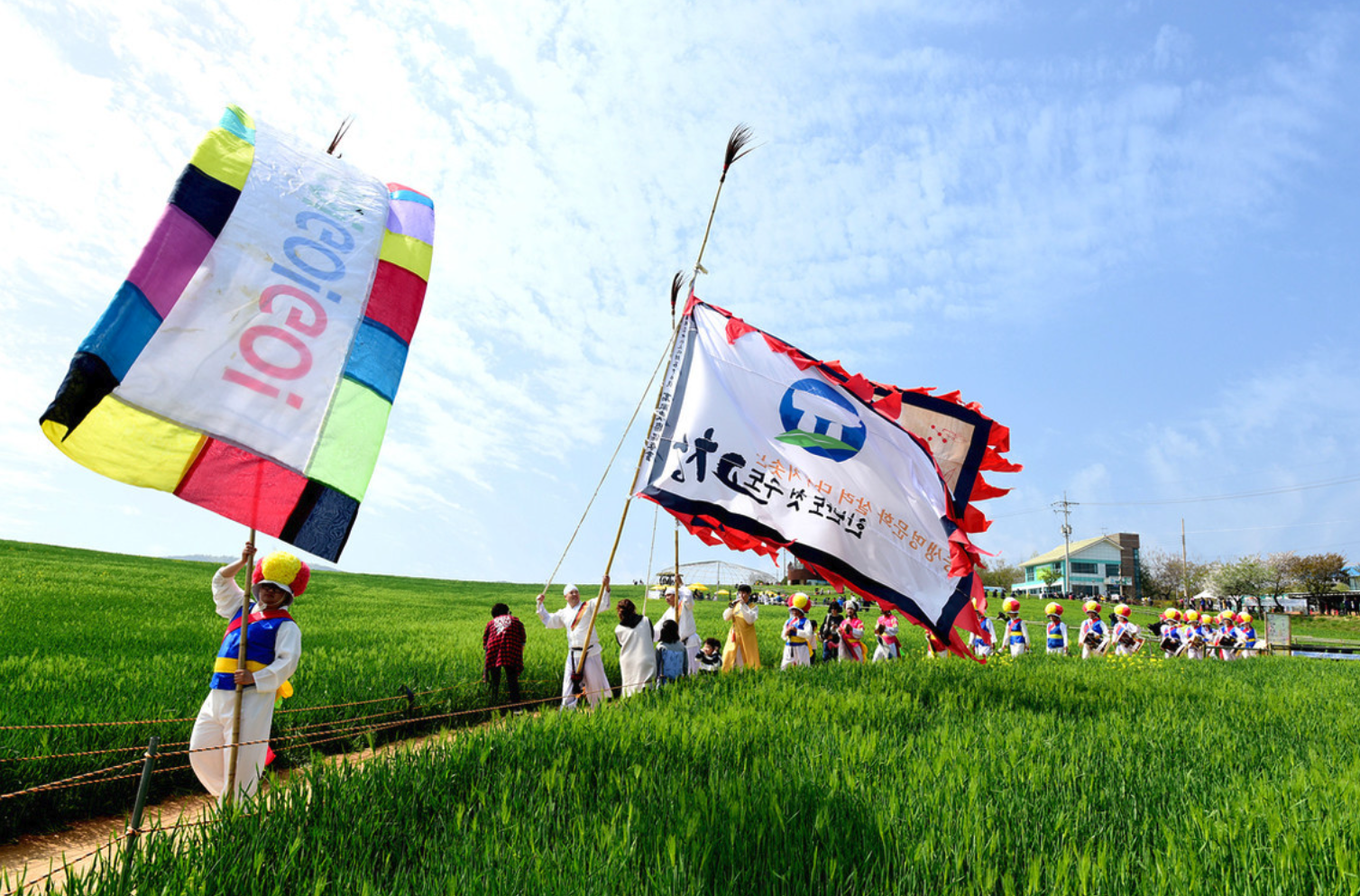 고창-청보리밭-축제