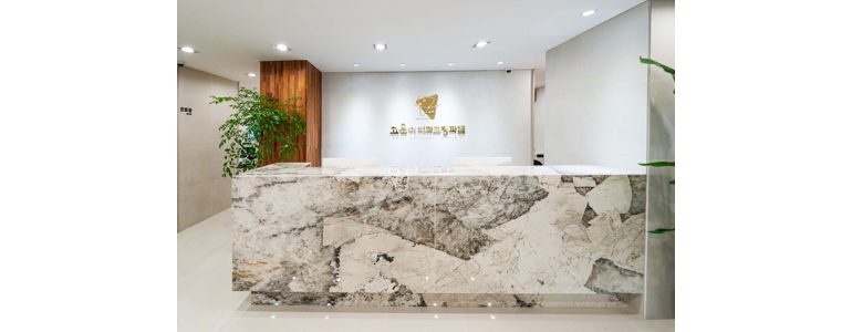 제주 제주시 치과