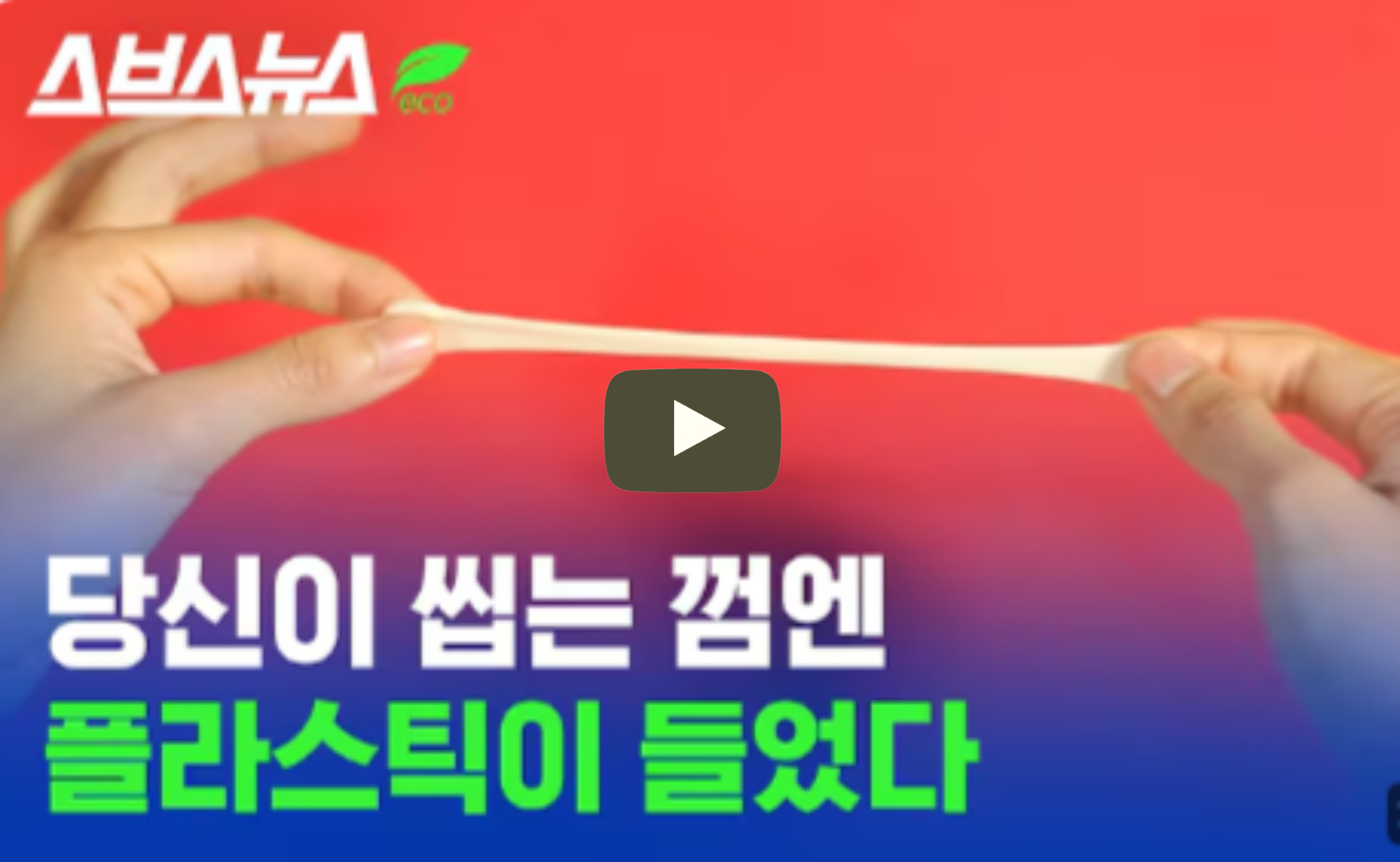 스브스뉴스 유튜브