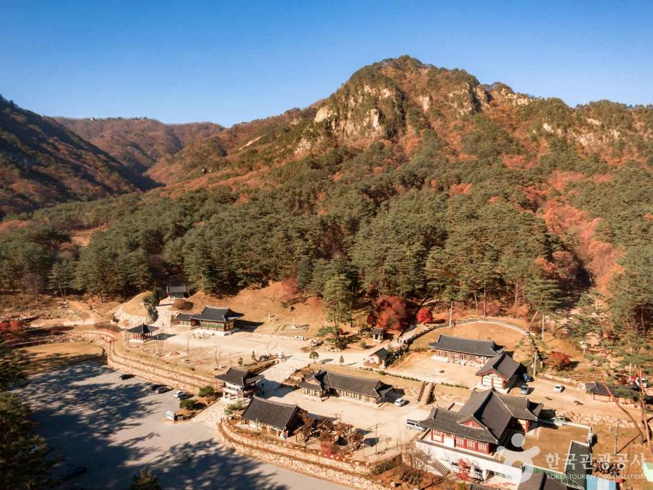 영월 가볼만한곳 베스트10