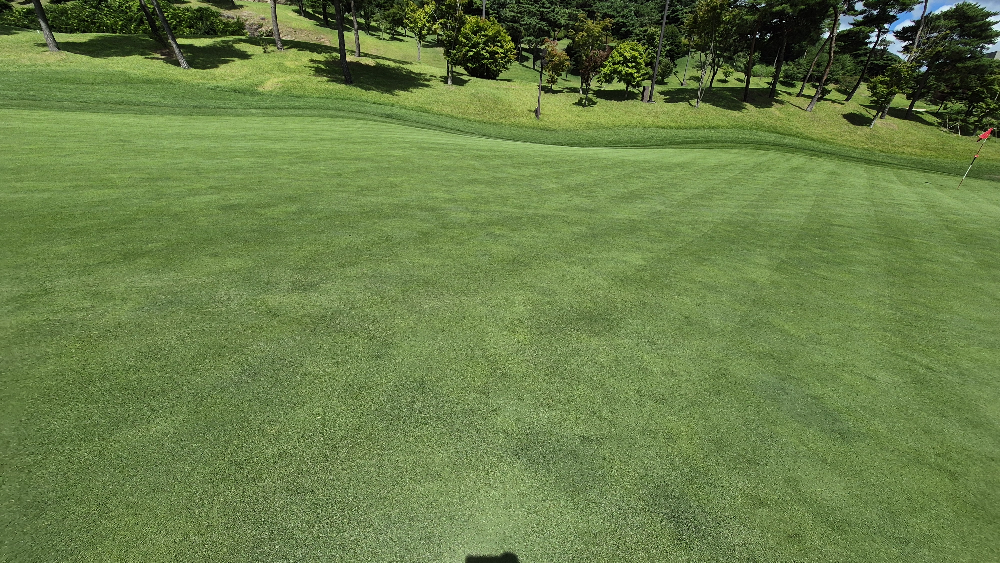 SG 아름다운cc 라운드 후기