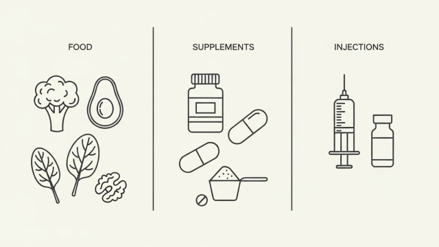 식품·영양제·주사 형태를 비교한 인포그래픽