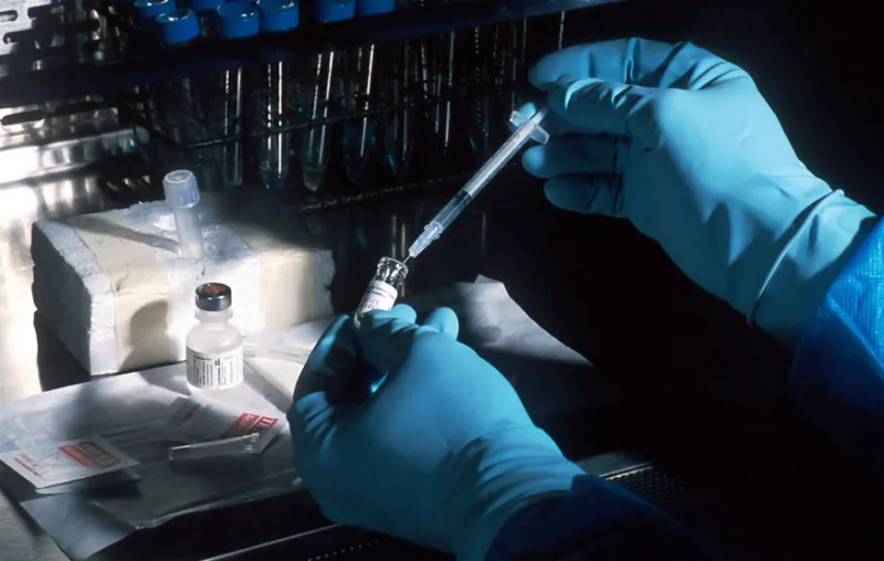 수두 홍역 차이