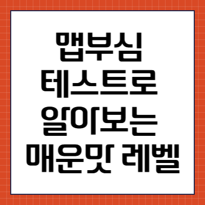 맵부심 테스트로 알아보는 매운맛 레벨