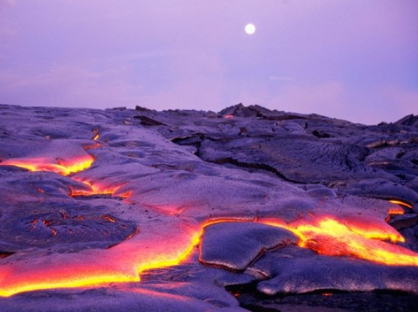 하와이 신혼여행